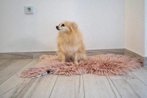 Nikola Apartment เนอุม ภายนอก รูปภาพ